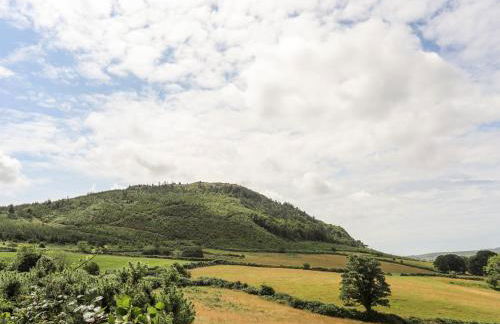 Maes Y Ddol - Photo 34