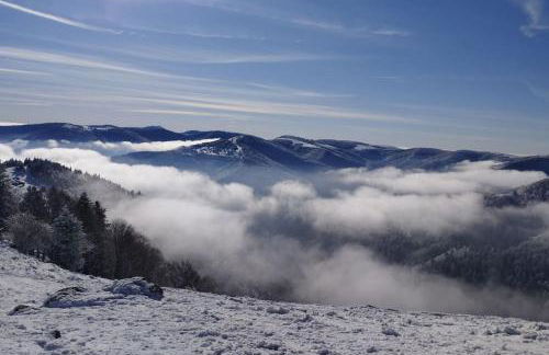 Aux balcons de la vallée - Foto 41
