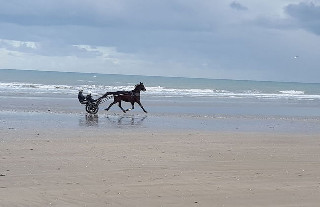 Entre Ciel et Marais - Foto 45