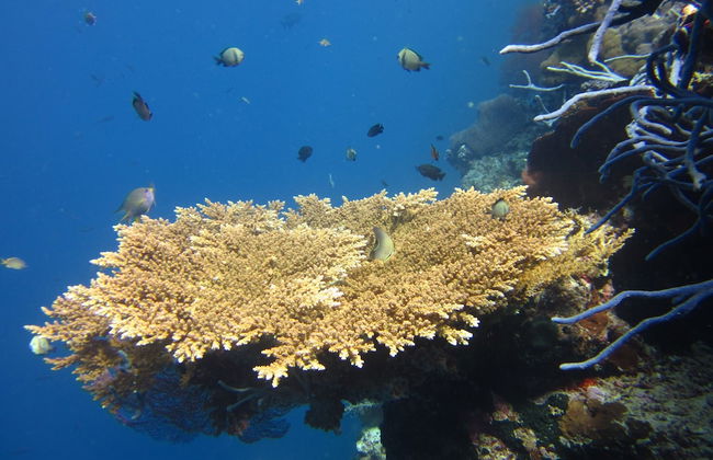 Villa Pelangi Bali - Foto 22