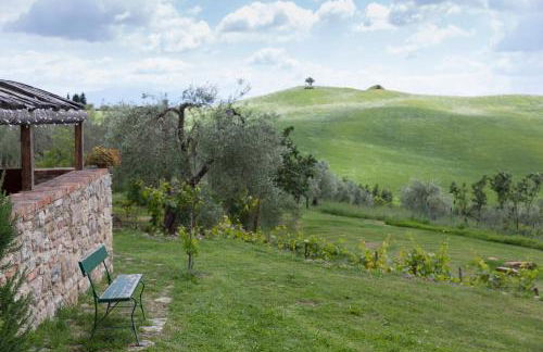 Podere Spedalone - Foto 13