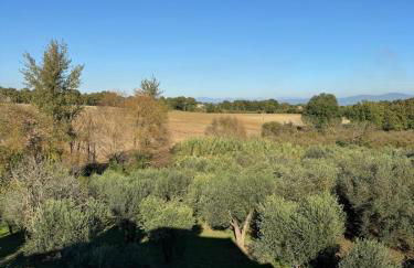 Giardino degli ulivi - Foto 45