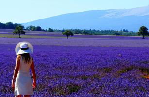 le vieux pont - Foto 17