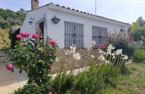 Finca del Abu - Foto 1