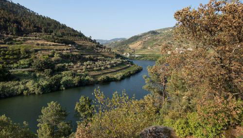 Quinta de São Pedro - Foto 4