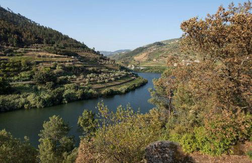 Quinta de São Pedro - Foto 4