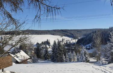 Gasthaus Piesau - Thüringer Wald - Rennsteig - Foto 80