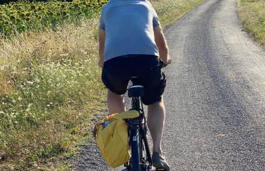 Domaine la Boulinière - La Biche - Foto 18