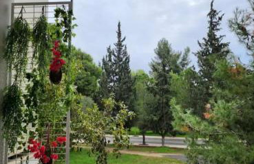 Vouliagmeni Thalassa Apartment - Photo 4