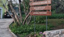 Senkini Dvori - Foto 4