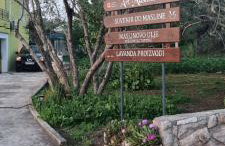 Senkini Dvori - Photo 4