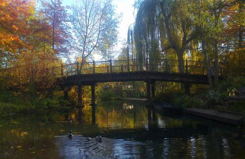 Ferienwohnung Hainbuche Lübben im Spreewald - Foto 4