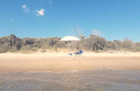 OASIS ESCAPE - Foto 1