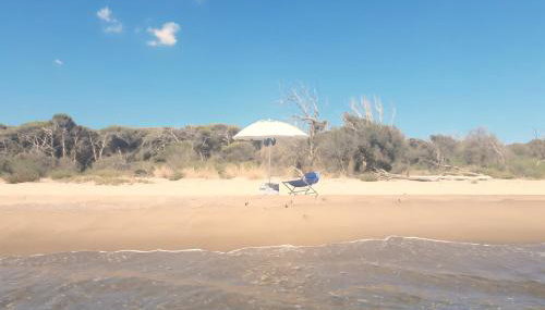 OASIS ESCAPE - Foto 1