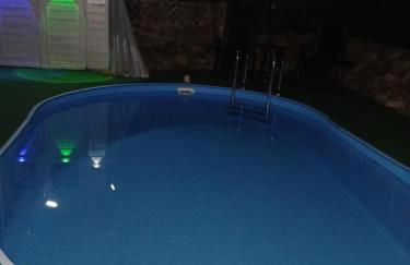 Chillkröte - Foto 12