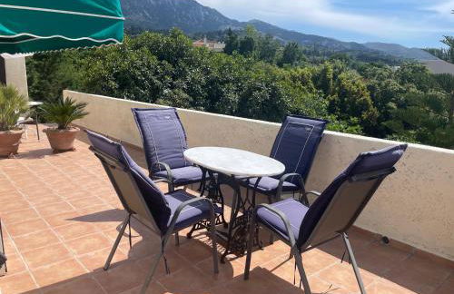 Carpe Diem - Photo 49