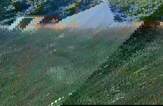 Beautiful Bell Tent Stay - Foto 15