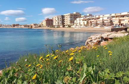 Apartamento Emperador, Pinada Beach, La Mata, Torrevieja - Foto 50