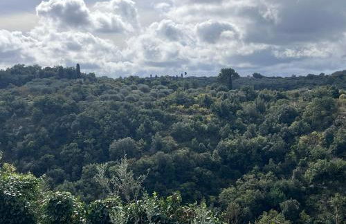 La Rosa dei Monti Iblei - Foto 11