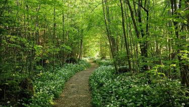 Ferienwohnung Alpenglück - Foto 3