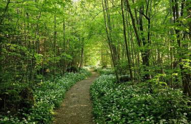 Ferienwohnung Alpenglück - Foto 3