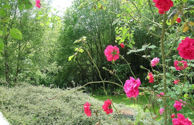 Cottage Near Durbuy Forest - Photo 23