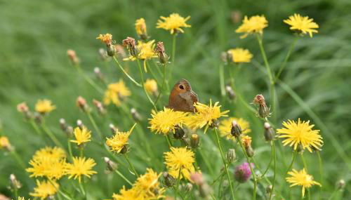 Biohof Seifert - Foto 5