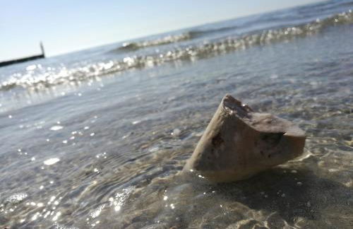 Ferienwohnungen Gaebert - Foto 7