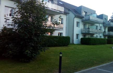 Le Roi du Sundgau près de la Horse - Mooslargue - Foto 53
