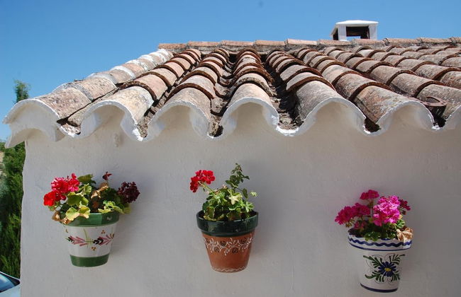 La Escuela del Campo - Photo 42