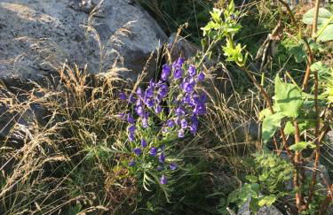 Appartement chalet - Foto 25