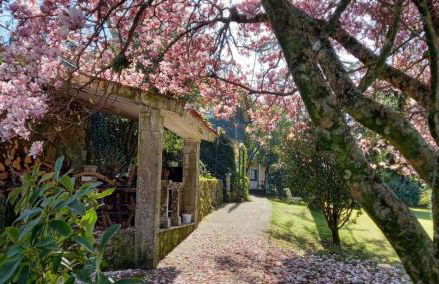 Hotel Rural VN Tenorio - Foto 59