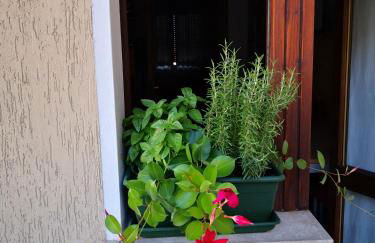 Appartamento Al Parco - Foto 10