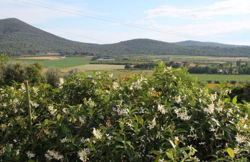 Agriturismo Podere Montenero - Foto 1