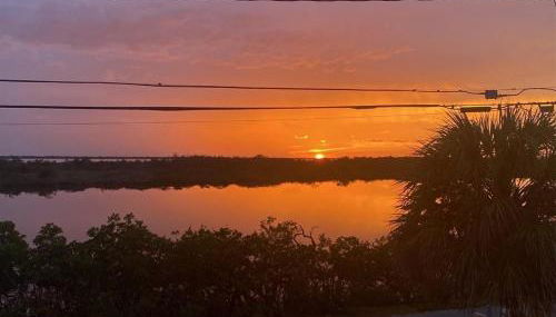 Reel Paradise - Foto 2