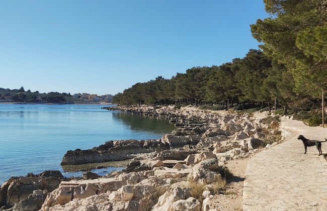 Stunning 2-bed House in Jezera With Sea Views - Photo 23