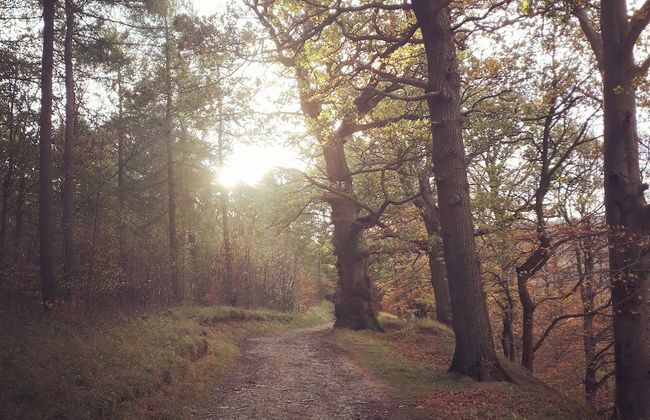 Wensleydale Glamping Pods - Foto 21