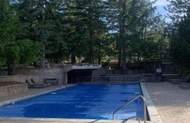 Dont miss the Main level Cozy Winter Retreat - Photo 19