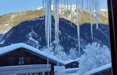 Chalet Les Charmilles - Vallée de Chamonix - 5 chambres - Foto 49