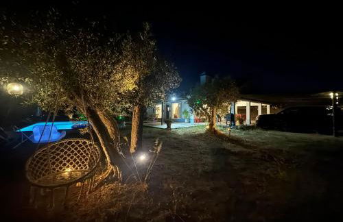 Monte Das 7 Oliveiras - Foto 3