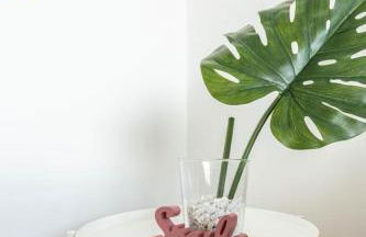 VIVIENDA con INCREIBLES VISTAS A LA PLAYA DE RIAZOR - Foto 16