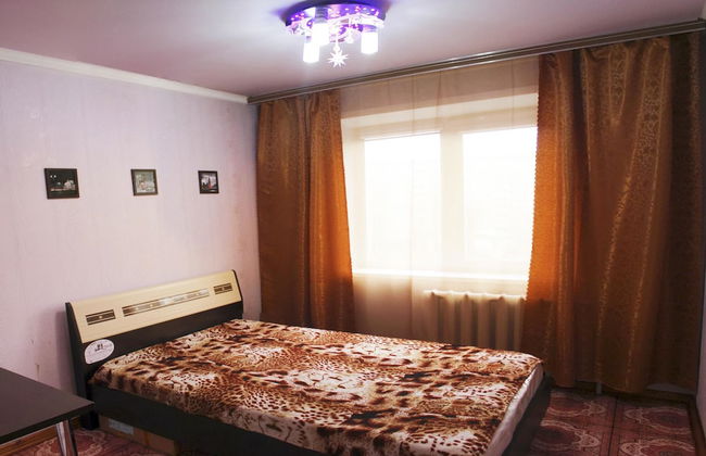 Dobrye Sutki Apartment on Sovetskaya 220 - Foto 4