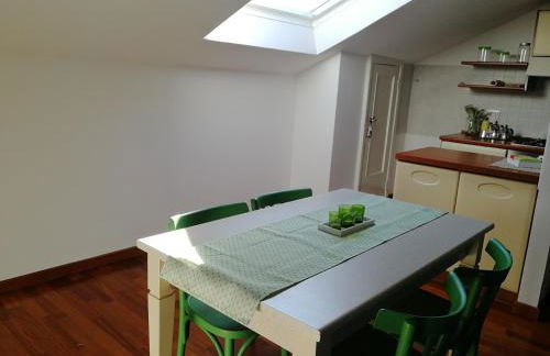 I tulipani - Foto 18