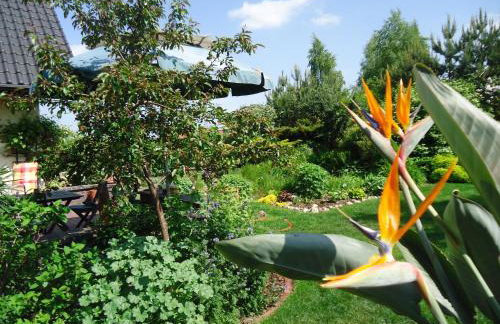 Kaszubiana direkt in der Natur - Photo 32