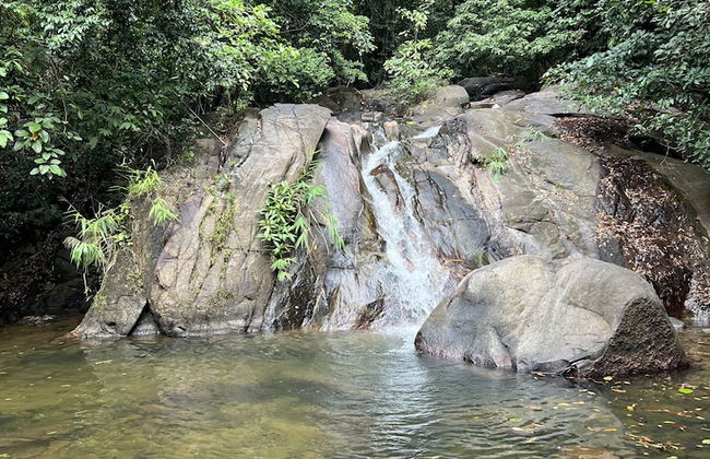 Ton Pling Khao Lak Villa - Photo 40