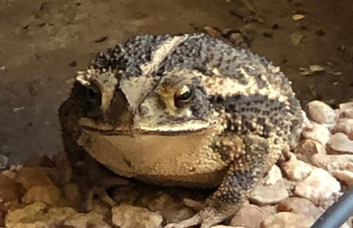 Fishers Of Men Ranch Home - Photo 28