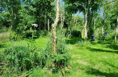 Hallegan Annexe with Private Garden and Woodland-Sofa Bed Only - Foto 21