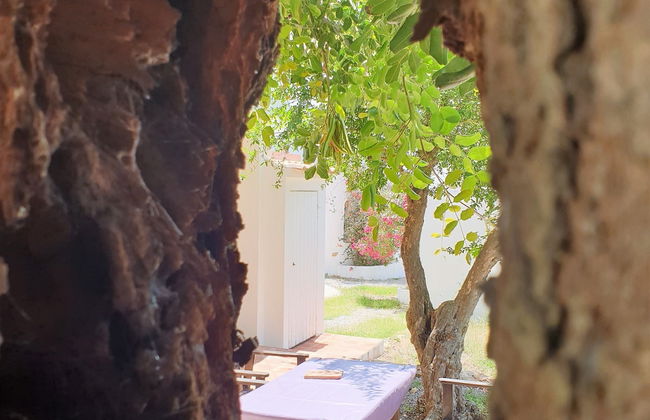 Quinta dos Cochichos – Country Houses - Foto 63