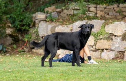 Ferienhaus hoch über dem Taubertal mit fantastischem Weitblick, Dachterrasse, 2000m2 großem Grundstück und Kamin - Foto 61
