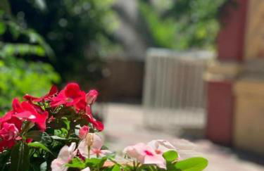 Palacete del Porvenir - Foto 20